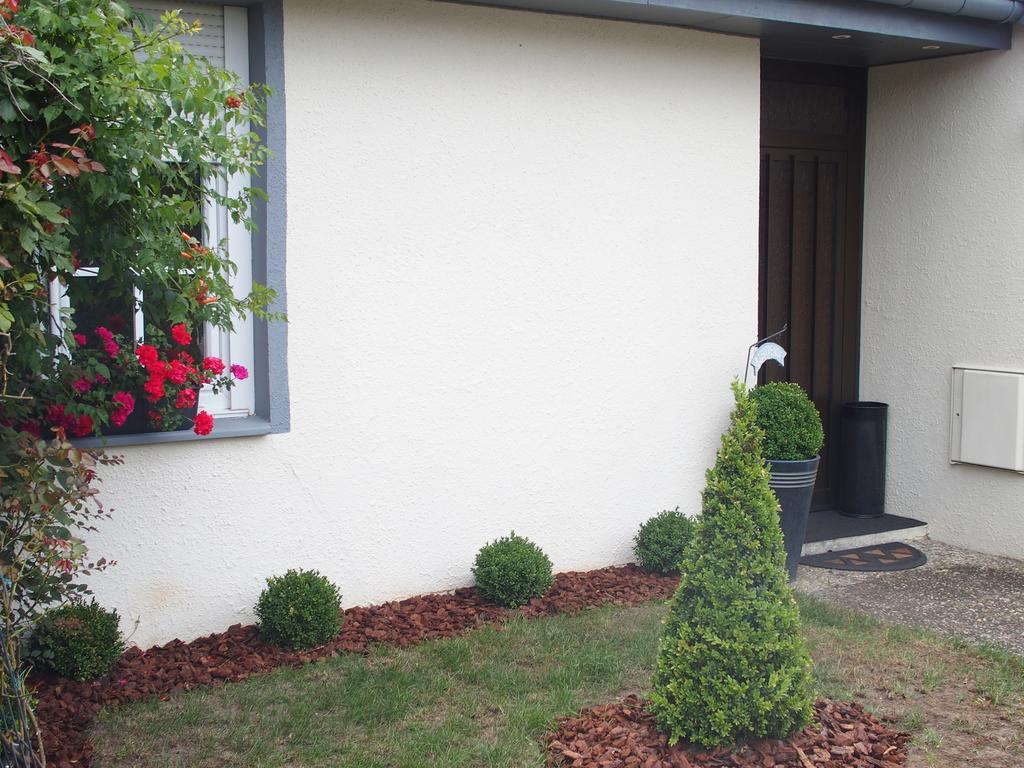 Bed And Breakfast Le Patio Montigny-lès-Metz エクステリア 写真